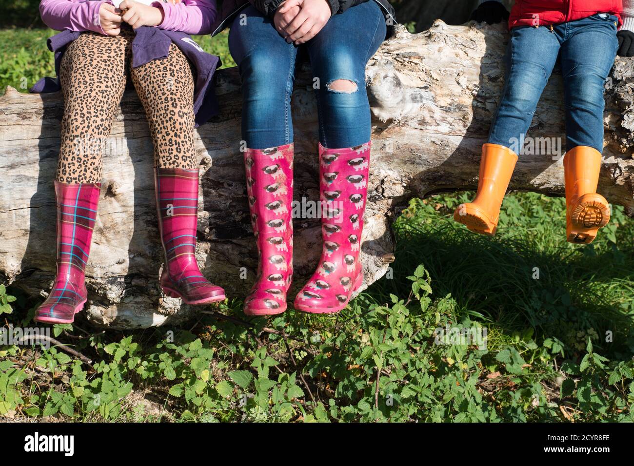 gros plan des pieds et des jambes des enfants portant des bottes wellington aux couleurs vives, assis sur un arbre tombé dans la campagne, sous le soleil d'automne Banque D'Images