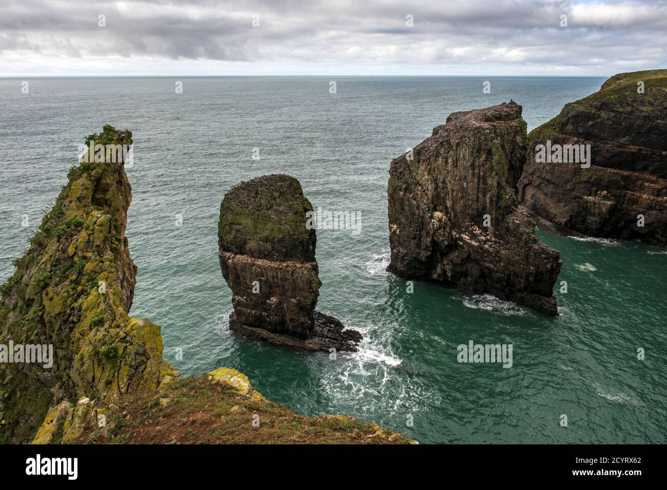 Les piles Elegug sont des pinnacles spectaculaires de calcaire et abritent des colonies de Guillemots, du parc national de la côte de Pembrokeshire, du Pembrokeshire, au pays de Galles. Banque D'Images