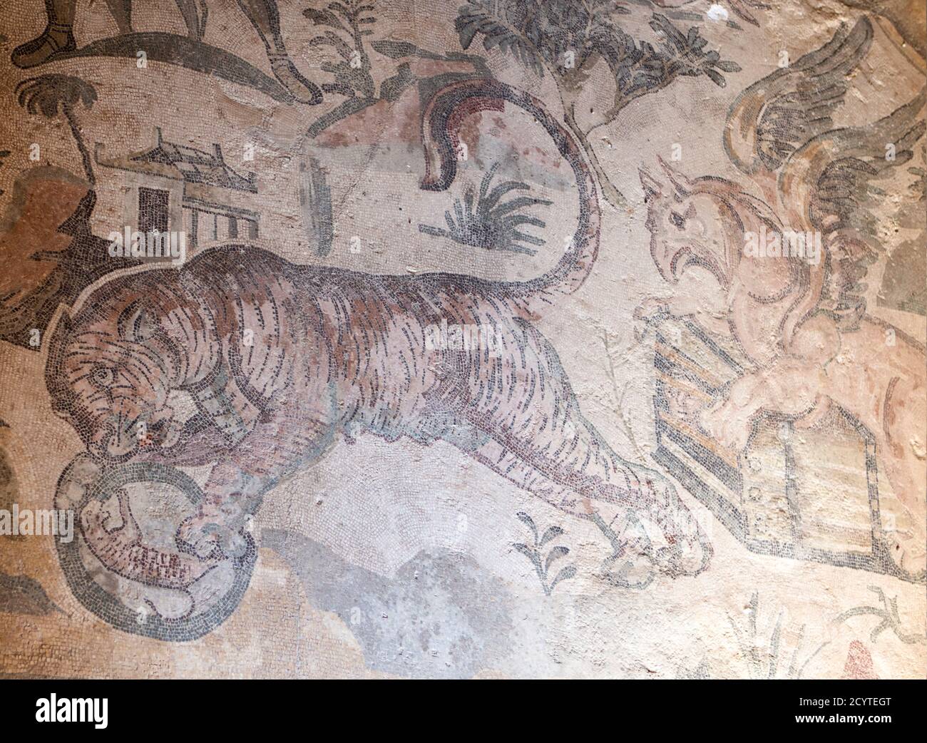 Un Tigress et griffin de la mosaïque de la grande chasse dans l'ancienne villa romaine à Piazza Armerina en Sicile, Italie Banque D'Images