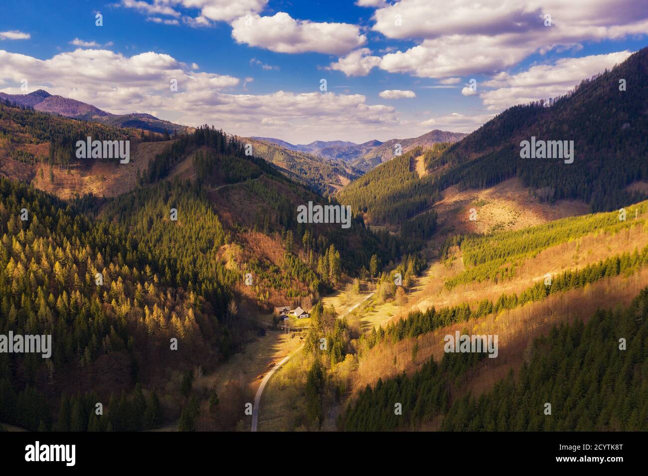 Vue aérienne d'une vallée dans la grande montagne de Fatra en Slovaquie Banque D'Images