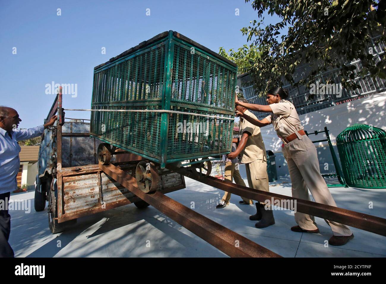 Forest guard Rashila Ben (R) helps to unload a cage containing a rescued  leopard at an animal hospital located in the Gir National Park and Wildlife  Sanctuary in Sasan, in the western