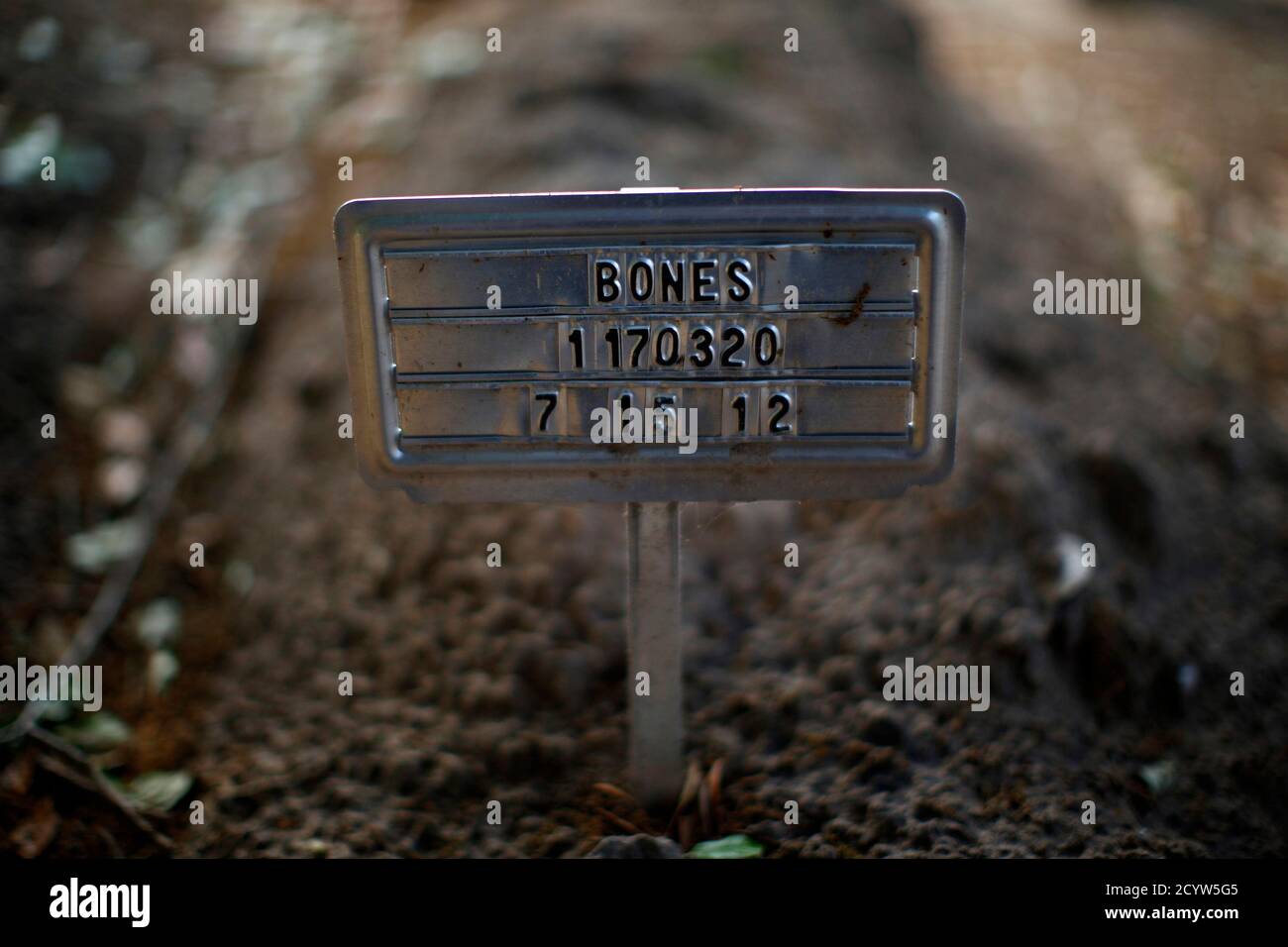 Ignorant Person Banque D Image Et Photos Alamy