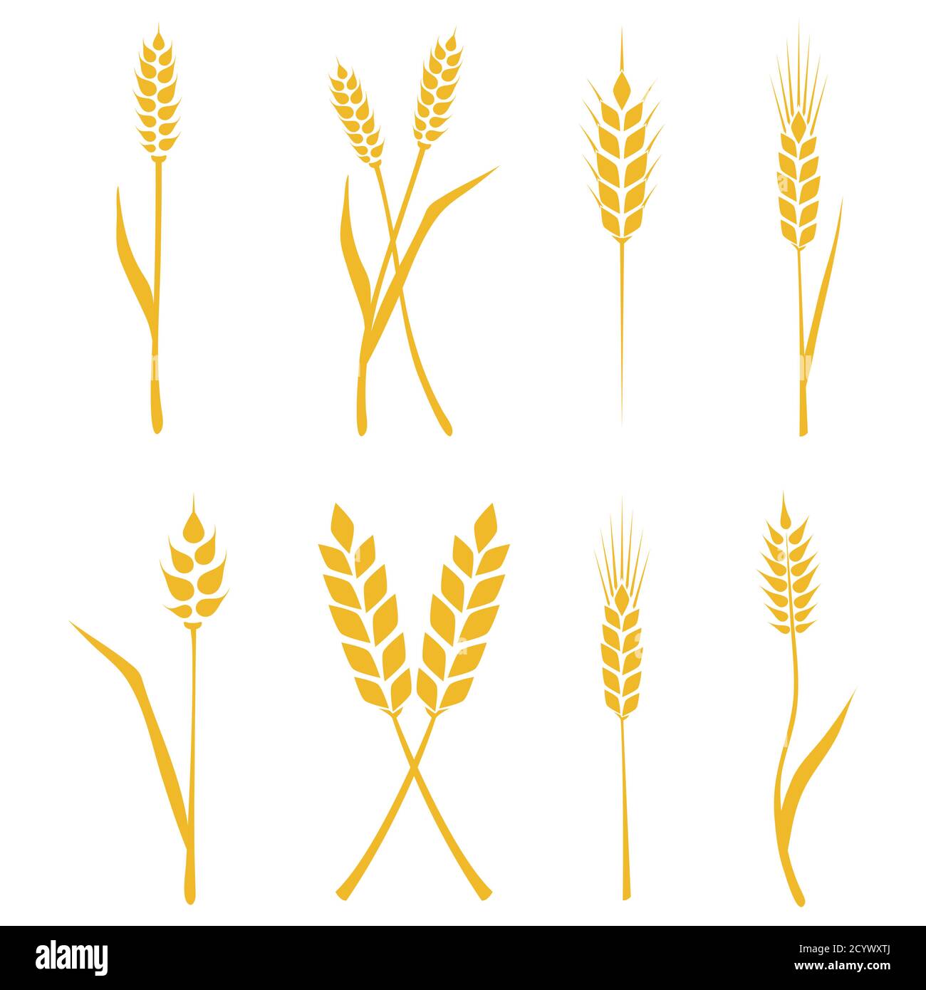 Jeu d'épis de blé ou d'icônes de riz. Symboles agricoles isolés sur fond blanc. Éléments de conception pour l'emballage du pain ou l'étiquette de bière. Vecteur Illustration de Vecteur