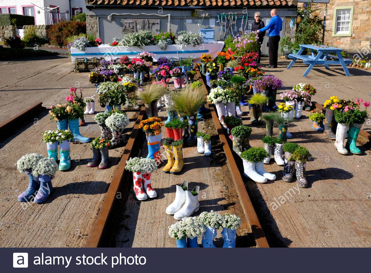 St Monan's, Écosse, Royaume-Uni. 2 octobre 2020. Beau temps ensoleillé au Welly Boot Garden à St Monan's, Fife. Le jardin de bottes a commencé dans le cadre de la stratégie du village pour gagner de magnifiques Fife et de belles récompenses d'Écosse et est maintenant une attraction touristique en soi. Crédit : Craig Brown/Alay Live News Banque D'Images