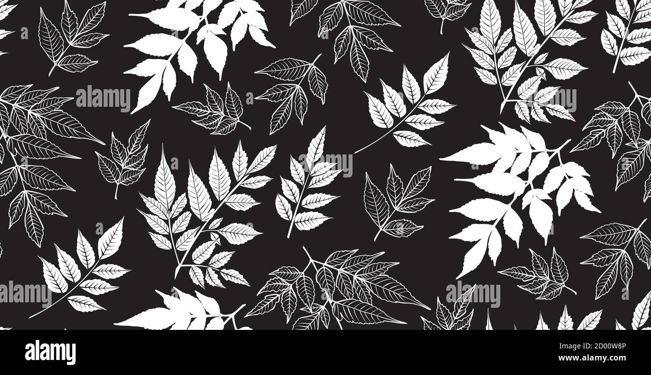 Motif d'arrière-plan sans couture avec feuilles. Silhouettes de plantes tropicales , illustration vectorielle. Illustration de Vecteur