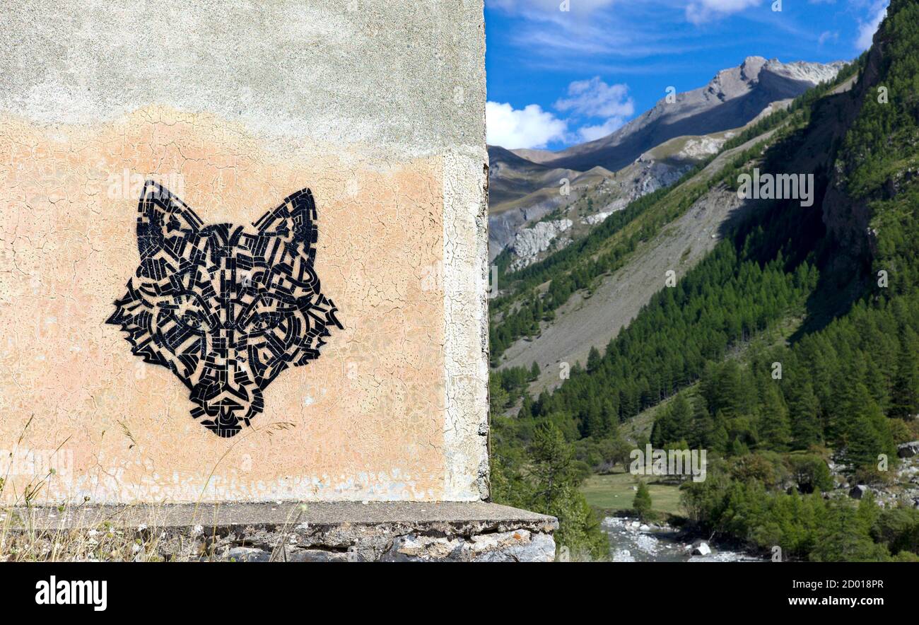 A stencil depicting a wolf is seen on a wall near Maljasset in the  Haute-Ubaye valley, French Alps, September 12, 2013. REUTERS/Robert Pratta ( FRANCE - Tags: ANIMALS Photo Stock - Alamy