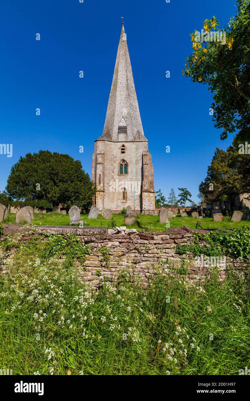 L'église St Mary, St Pierre et St Paul à Westbury-on-Severn, Gloucestershire, Angleterre Banque D'Images
