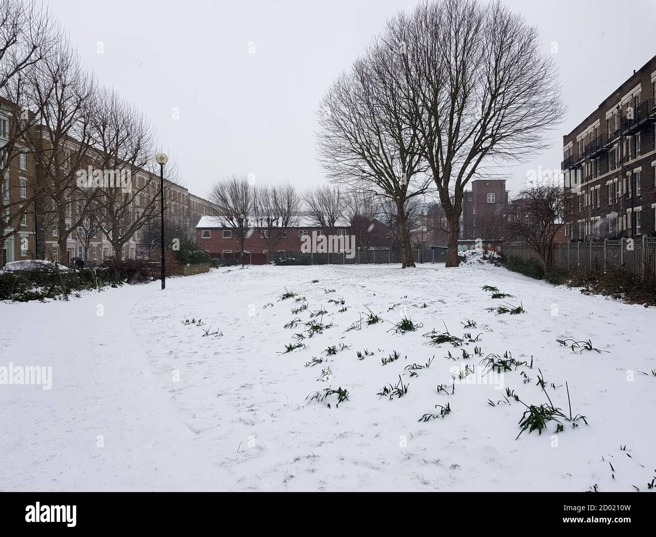 Un petit jardin couvert de neige dans l'est de Londres. Banque D'Images