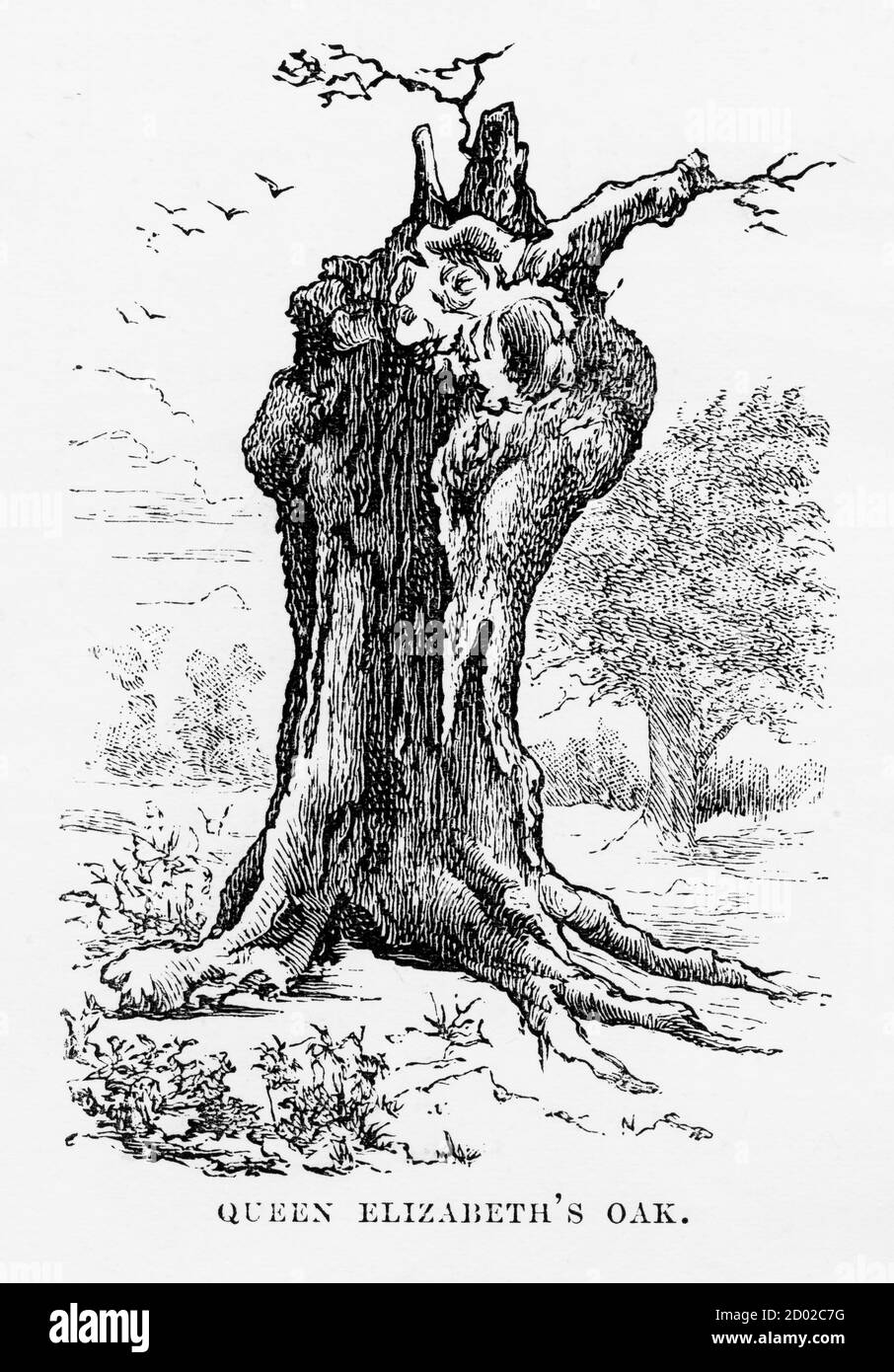 Très rare, magnifiquement illustré Antique gravure de Hatfield, Queen Elizabeth’s Oak, Hertfordshire, Angleterre Victorian Engraving, 1840. Source : ORI Banque D'Images