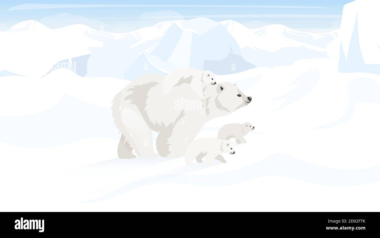 Illustration du vecteur plat pôle Nord. Paysage antarctique avec famille d'ours polaires. Désert de neige, paysage blanc panoramique. Animaux polaires. Environnement sauvage Illustration de Vecteur