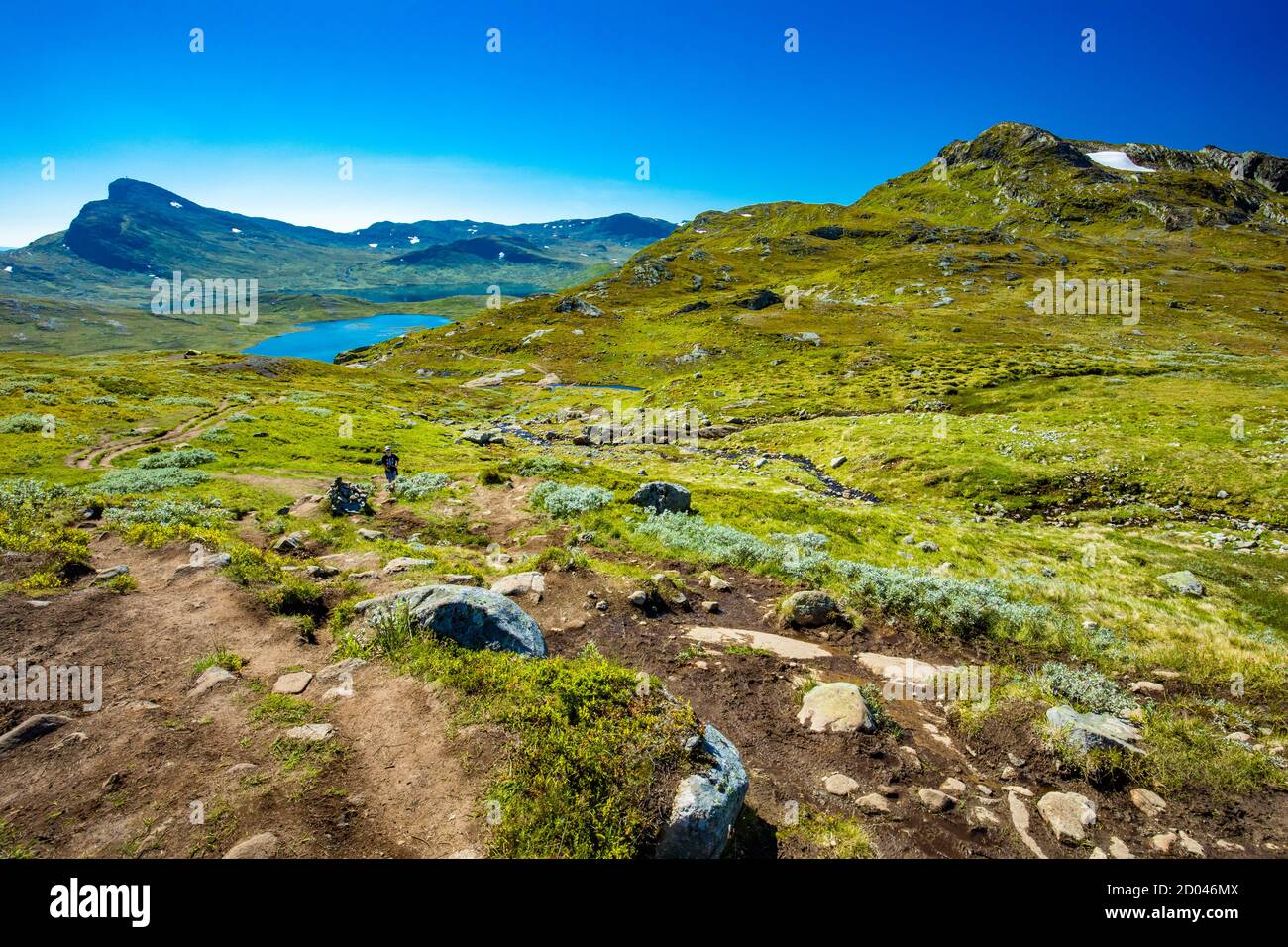 Randonnée dans le parc national de Jotunheimen en Norvège, montagne Synshorn Banque D'Images