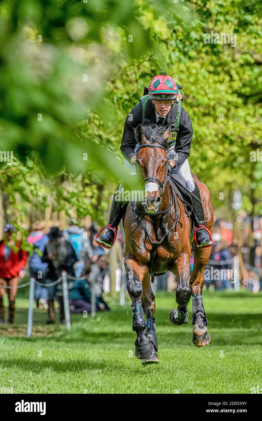 David Britnell Badminton Horse essais Gloucester Angleterre Royaume-Uni Mai 2019, David Britnell Equestrian eventing représentant la continuité de la circonscription de Grande-Bretagne Banque D'Images
