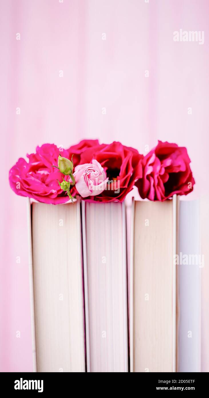 Belle eustoma rose ou lisianthus ou fleur gentiane de prairie et livres sur fond rose clair, espace de copie. 16 sur le format 9 Banque D'Images