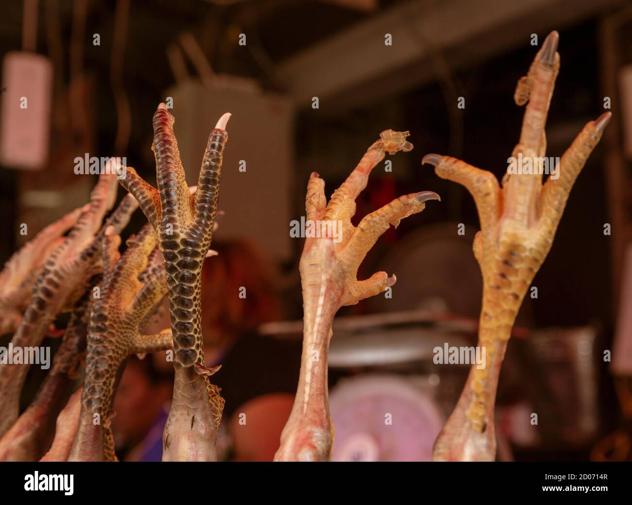Pieds de poulet bloqué en l'air. Banque D'Images