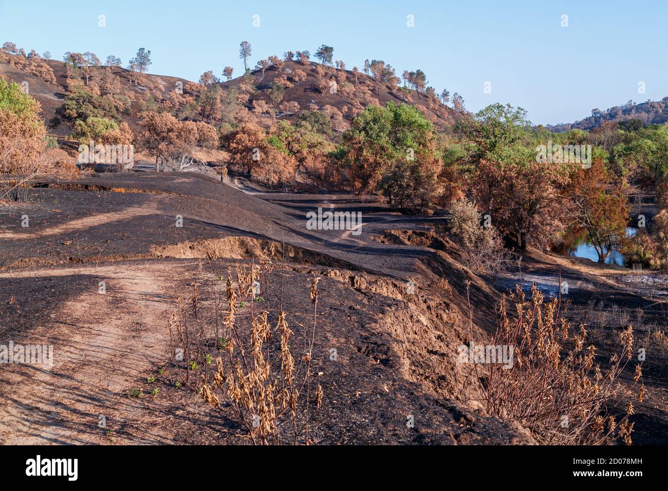 Les zones de loisirs du bord de la rivière dévastées par les feux de forêt. Banque D'Images