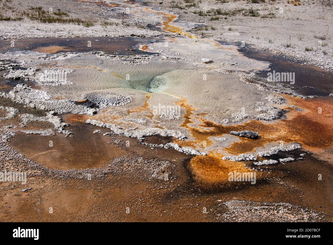 Tapis bactérien, Upper Geyser Basin, parc national de Yellowstone, Wyoming, États-Unis Banque D'Images