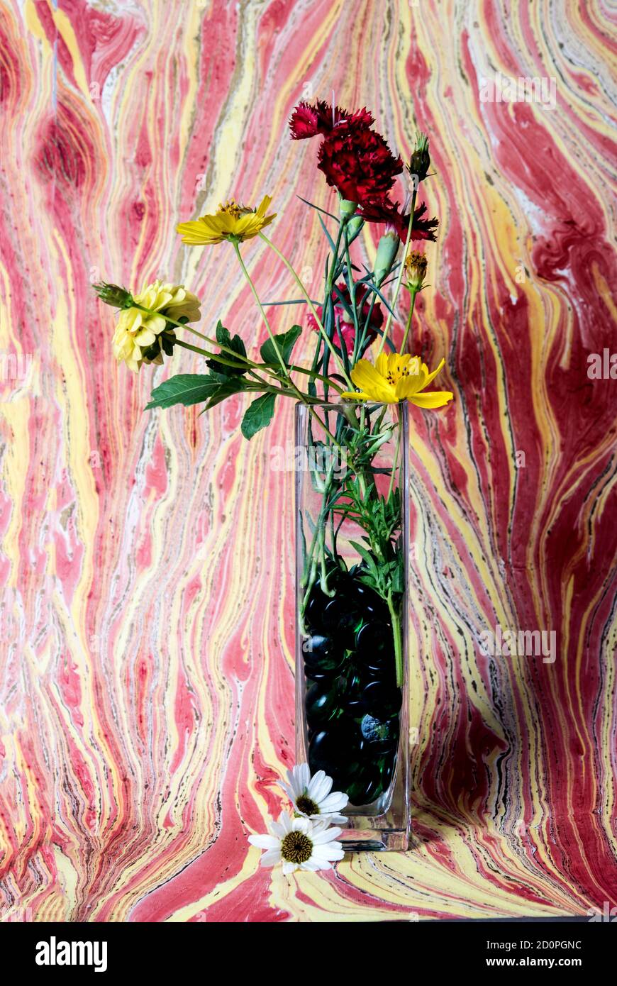 bouquet minimaliste sur fond de couleur abstraite Banque D'Images