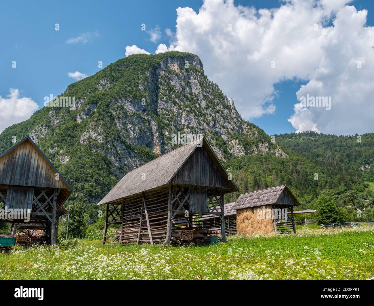 Rack de foin slovène traditionnel, construction pour sécher l'herbe sur de vieux échafaudages en bois près de Bled, Slovénie en été Banque D'Images