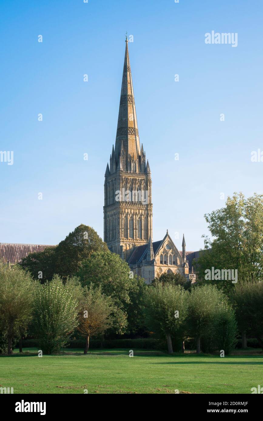 Salisbury Cathedral UK, vue sur les prés d'eau de Salisbury vers la cathédrale du XIIIe siècle et sa flèche de 123m de haut, Wiltshire, Angleterre, Royaume-Uni Banque D'Images