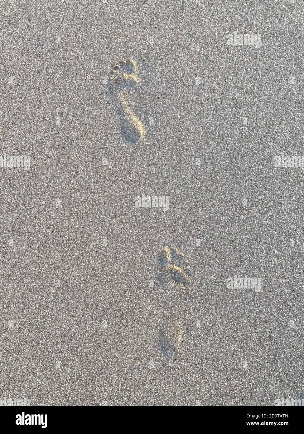 Empreintes de pieds dans le sable sur une plage à Fuerteventura, îles Canaries, Espagne Banque D'Images