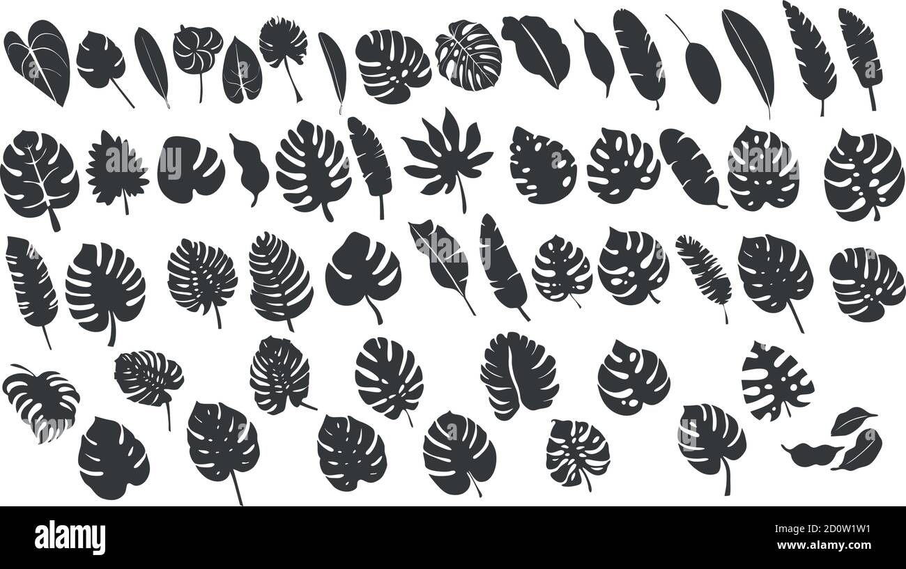 Silhouette de grandes feuilles et plantes trapézoïdales Illustration de Vecteur