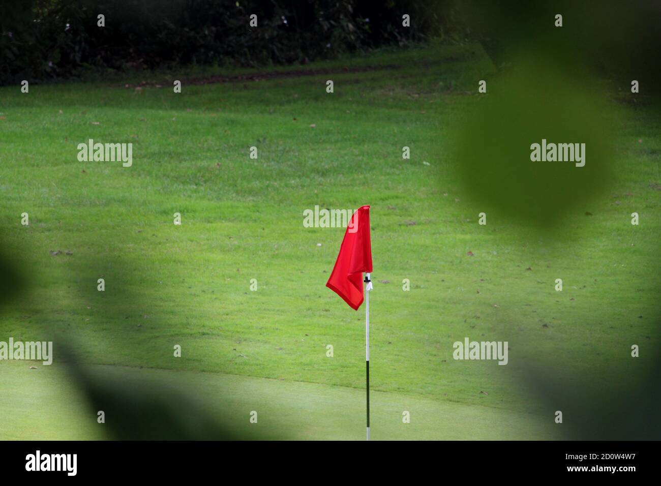 Photographie d'un drapeau rouge sur un parcours de golf, encadrée par des branches boisées hors foyer Banque D'Images