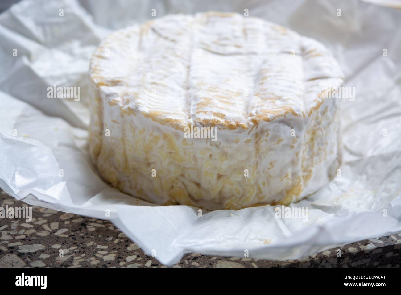 Collection de fromages, Camembert doux français de Normandie, à base de lait de vache dans la région Normandie, France gros plan Banque D'Images