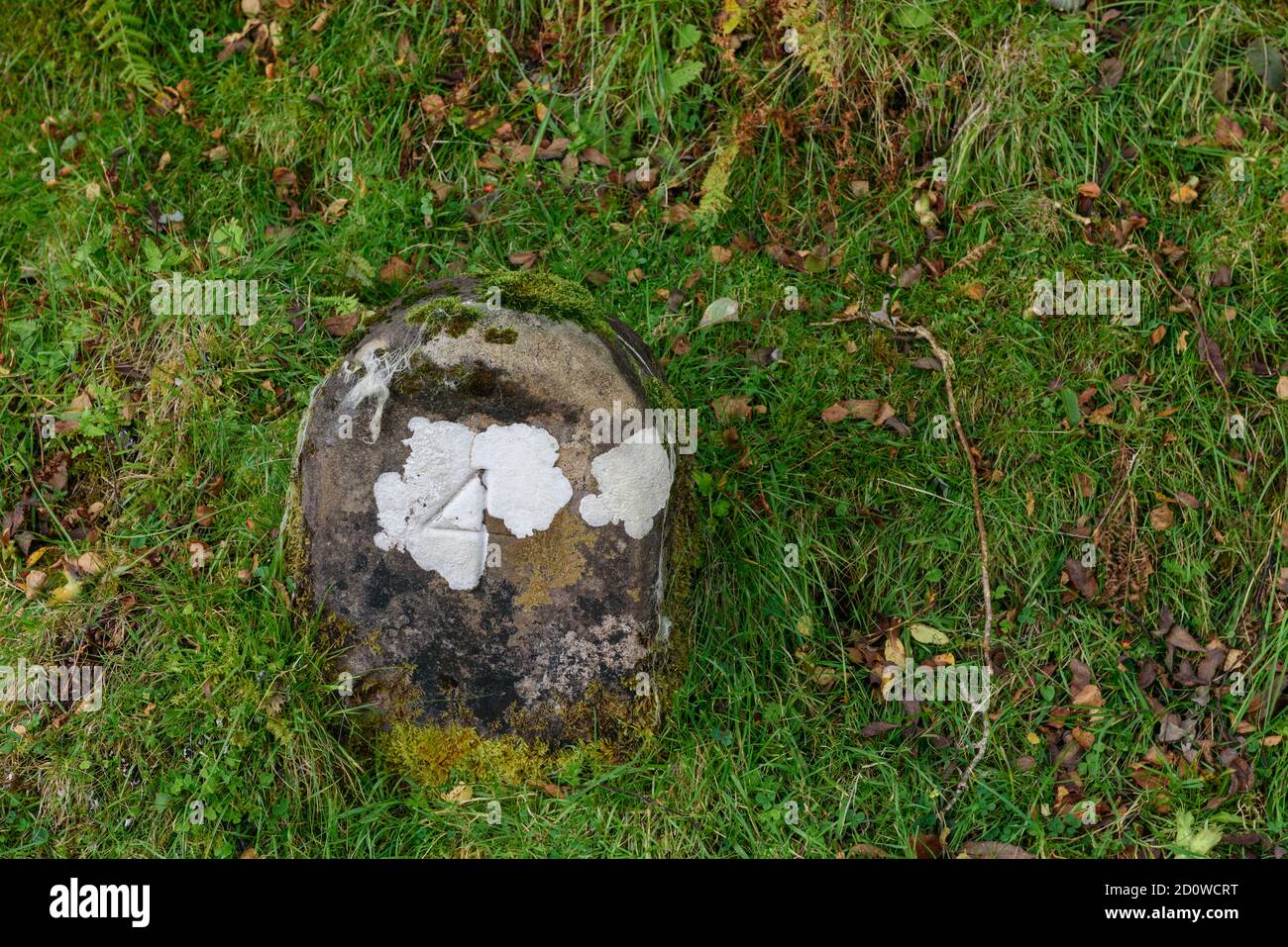 Étape importante sur la piste de North Farns aux ruines De Hallaig sur Raasay Banque D'Images