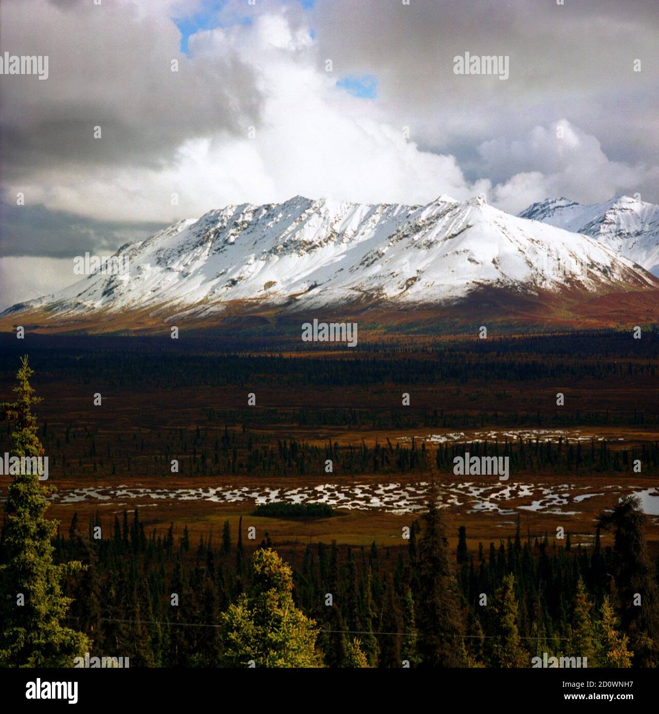 La Finlande, la Norvège, la Suède et le Danemark ont atteint des sommets dans le comté de Matanuska-Susitna, en Alaska, le long de la route 1 Banque D'Images