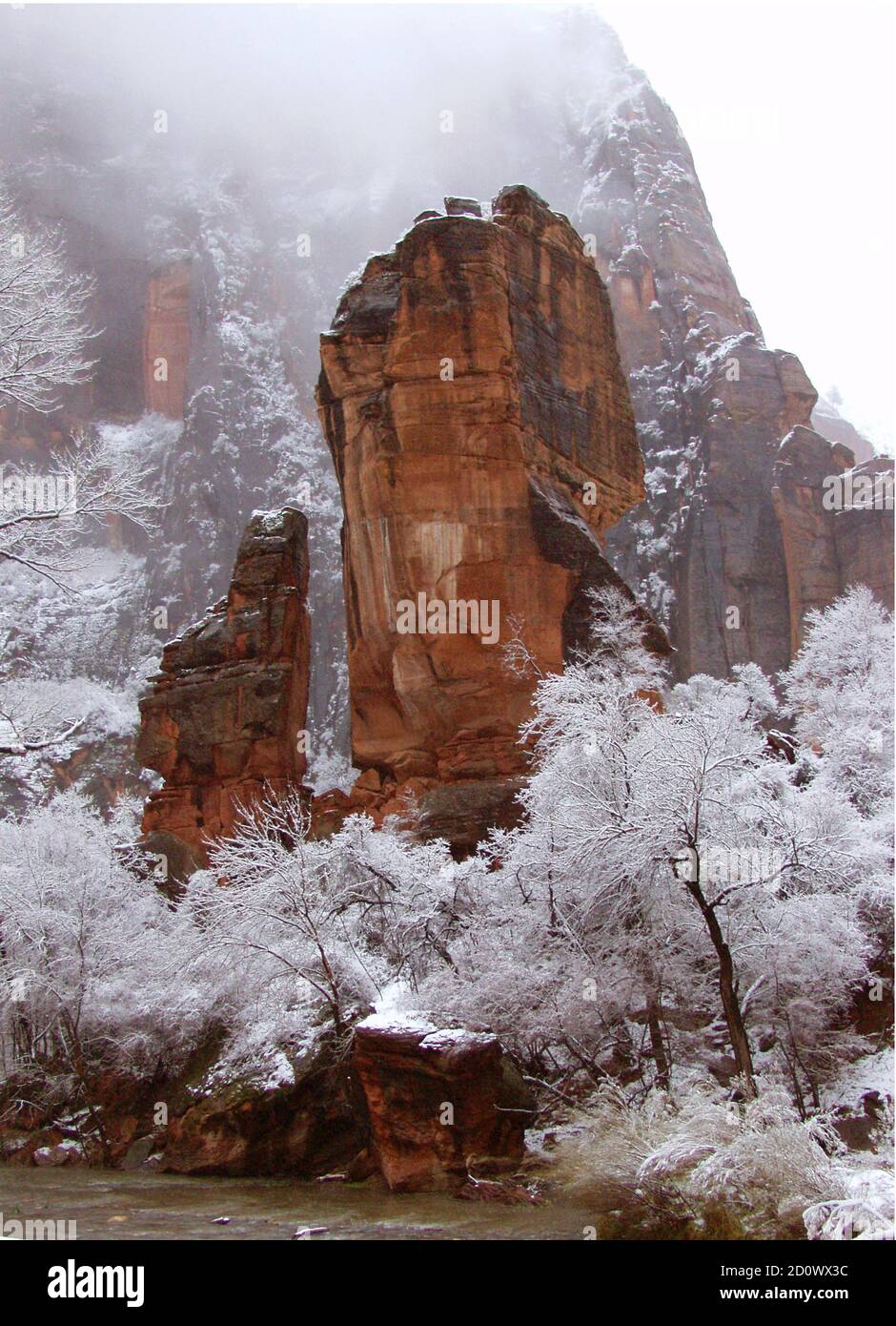 Debout seul, juste en face de la rivière Virgin, à quelques centaines de pieds de l'extrémité de la route dans le parc national de Zion, le grès rouge dur de la Pulpit Banque D'Images