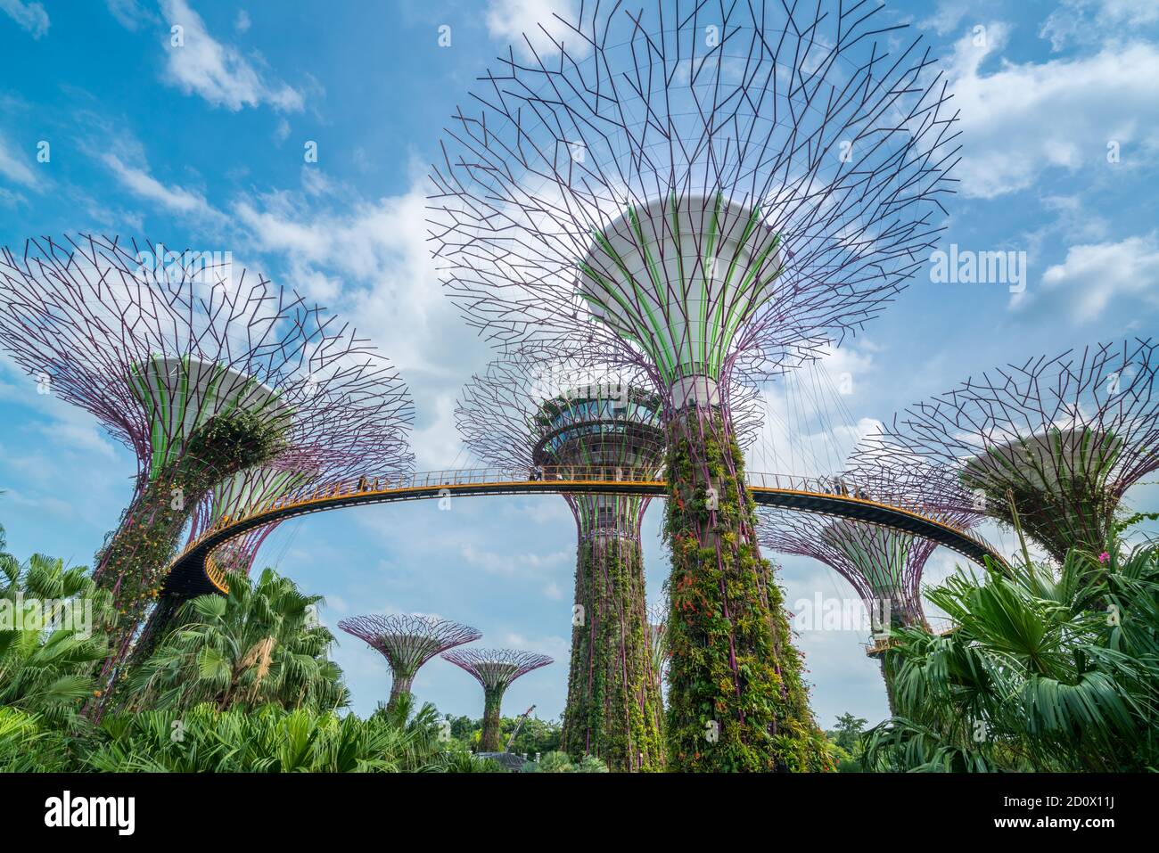 SINGAPOUR - 10 FÉVRIER 2017 : Singapour Supertrees dans un jardin près de la baie sous le ciel bleu à la baie sud de Singapour. Paysage urbain et horizon de la ville dans Banque D'Images
