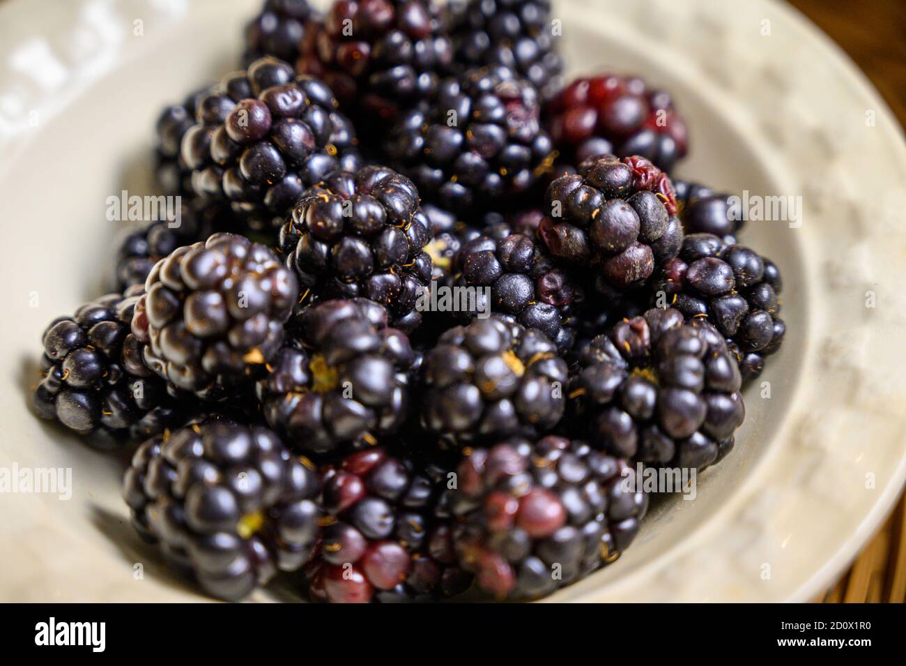 Mûres (Rubus) attendant d'être mangées de bol, Fallston, MD Banque D'Images