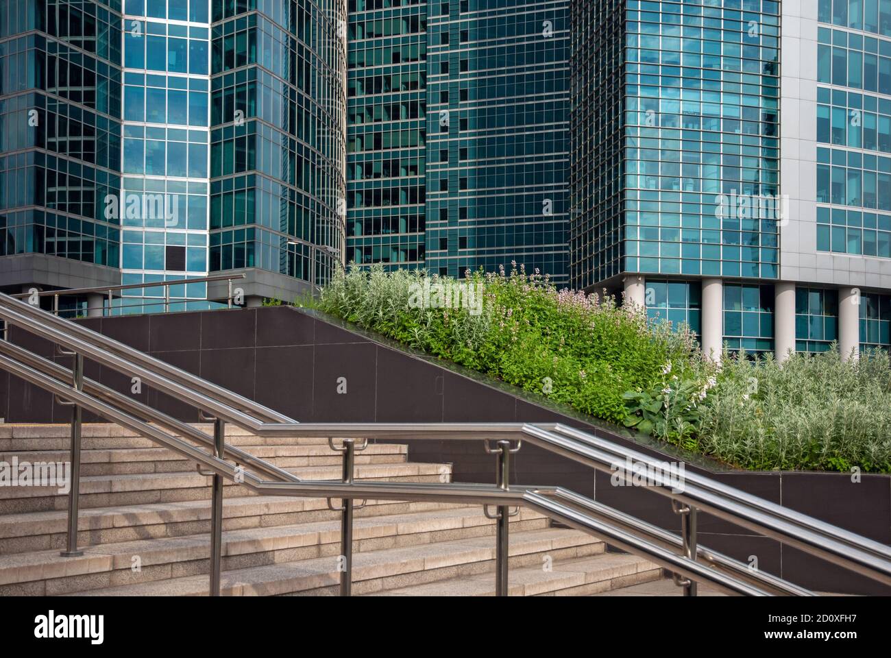 bâtiments en verre, escalier et plantes vertes dans le quartier des affaires Banque D'Images