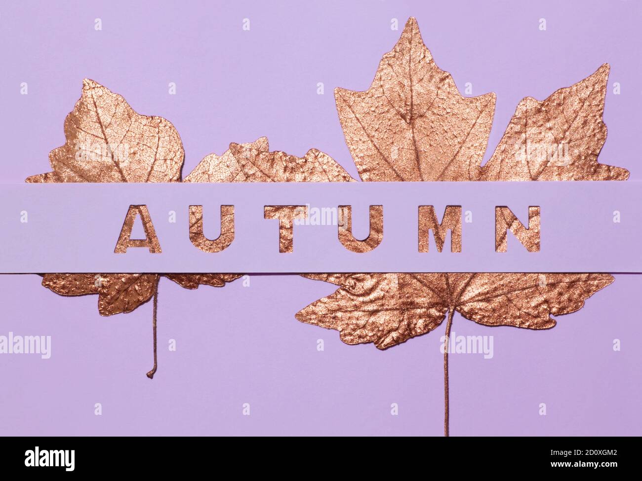 L'inscription conceptuelle l'automne est sculpté dans un fond violet, en vertu de laquelle vous pouvez voir les feuilles dorées. Banque D'Images