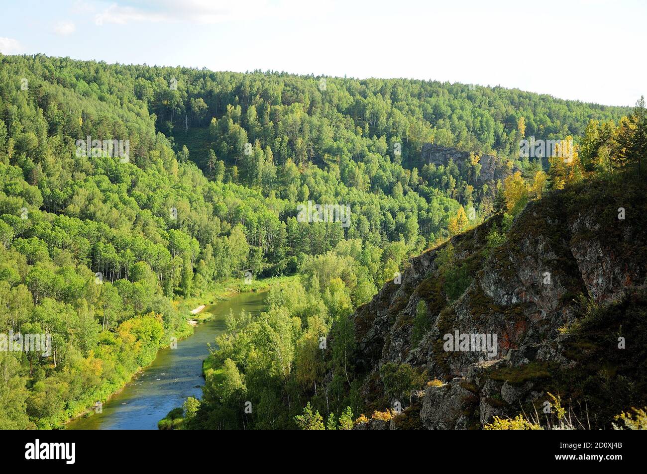 Une rivière calme qui traverse une forêt de conifères d'été dans un crevassé entre les montagnes. Berdsk Rocks, région de Novosibirsk. Banque D'Images