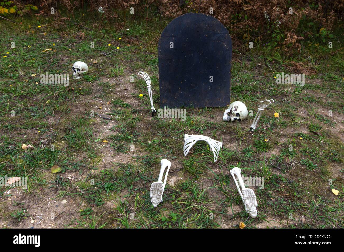Décorations d'Halloween en extérieur. Les squelettes et la pierre tombale noire vierge sont faciles à décorer en extérieur Halloween. Banque D'Images
