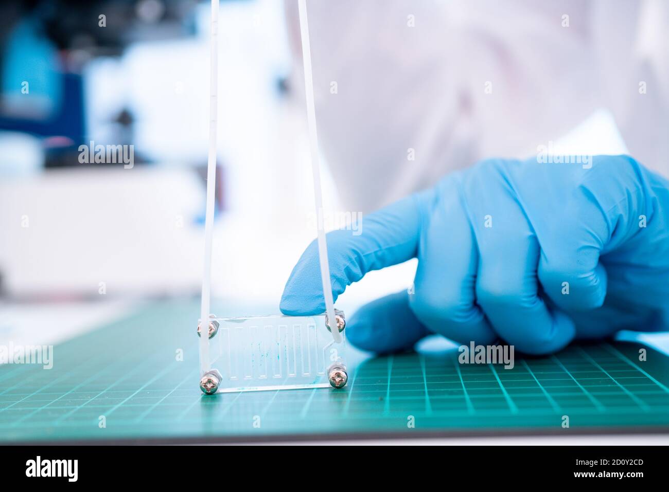 Organe-sur-puce (OOC) - dispositif microfluidique puce qui simule les organes biologiques c'est le type d'organes artificiels. Conception de prototypes de laboratoires sur puce Banque D'Images