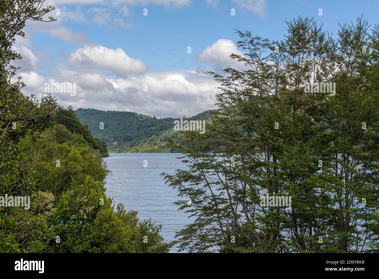 Lac Tinquilco dans le parc national de Huerquehue, Pucon, Chili Banque D'Images