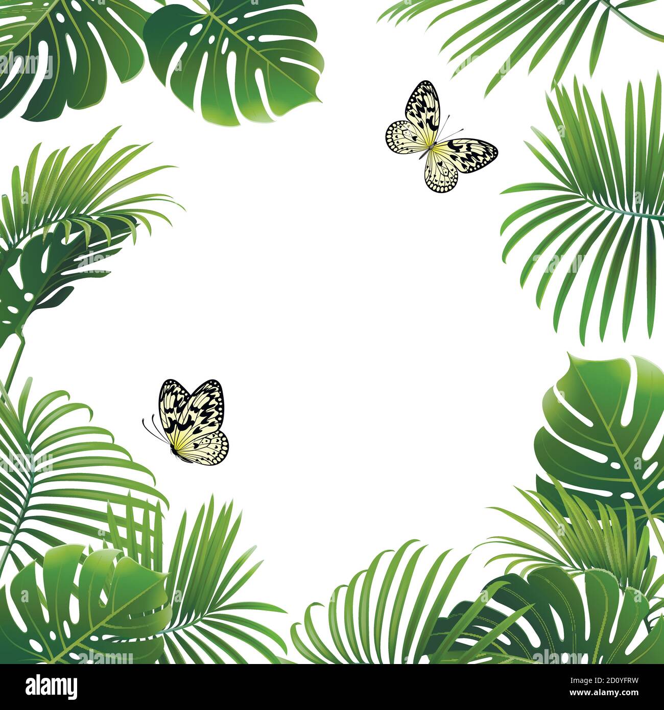 bannière de plantes tropicales et de papillons sur fond blanc Illustration de Vecteur