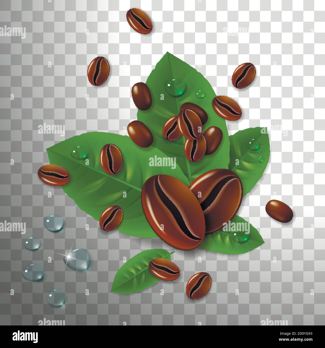 grains de café avec feuilles de café vertes sur fond transparent Illustration de Vecteur