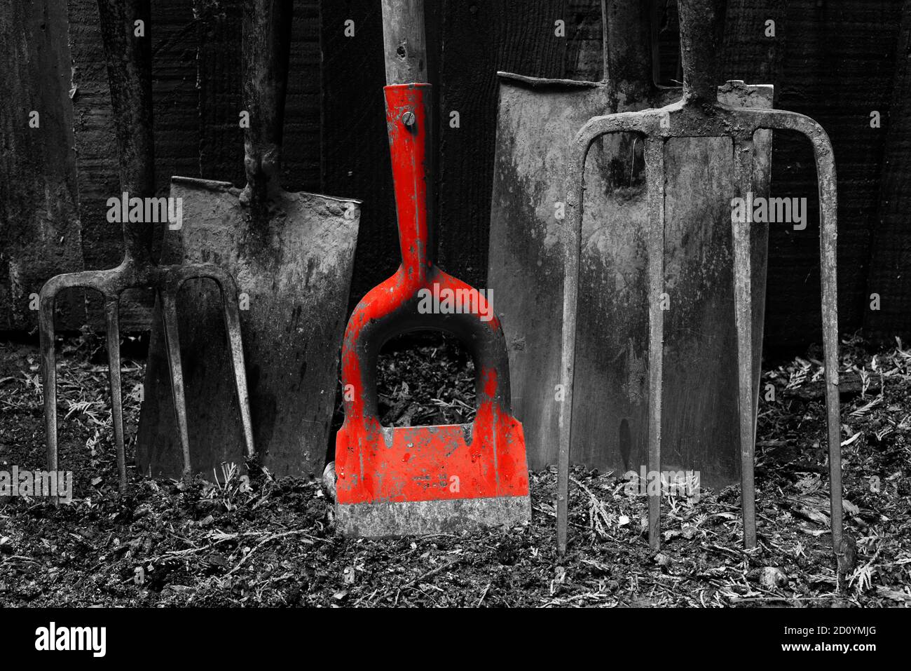 Les outils de jardin sont encore en vie avec une couleur rouge partielle. Banque D'Images