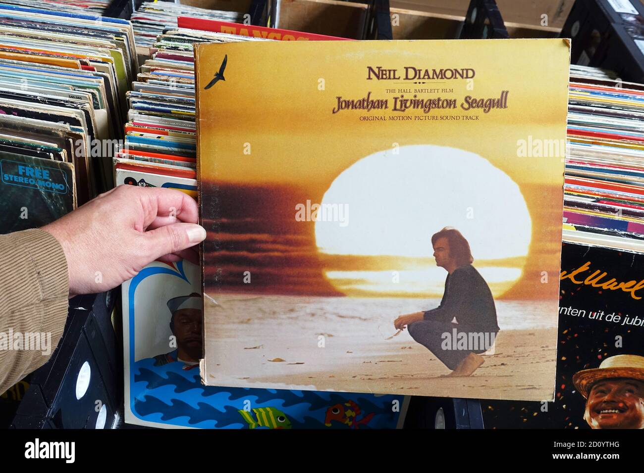 Album: Neil Diamond - Jonathan Livingston Seagull Banque D'Images
