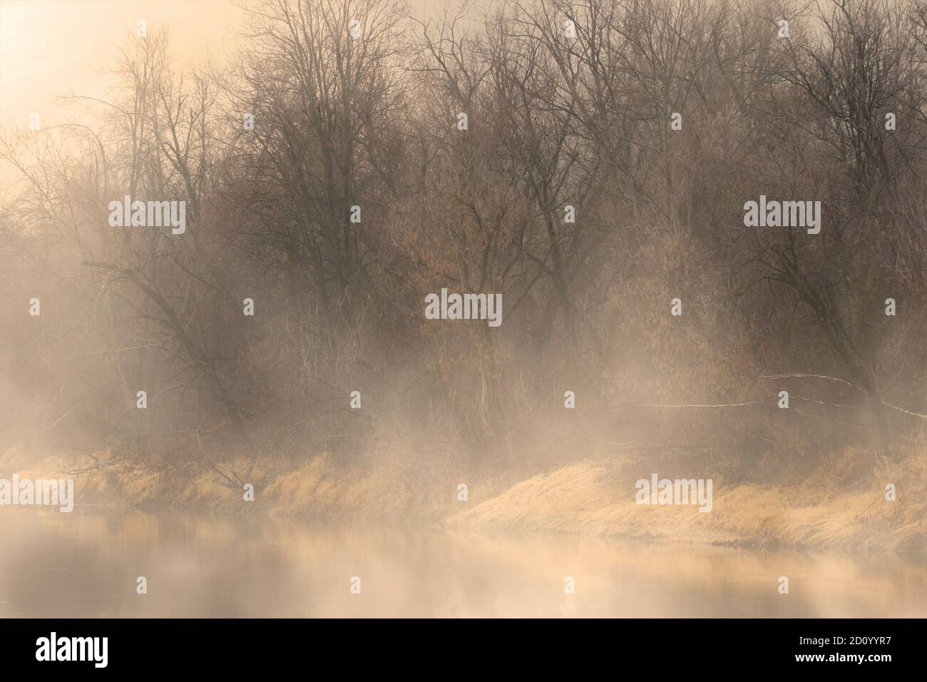 Brume matinale sur les berges en automne Banque D'Images