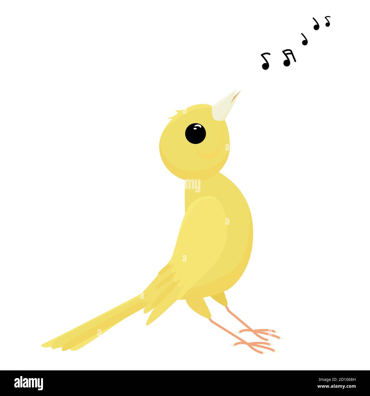 Chant canari isolé sur fond blanc. Illustration vectorielle d'un animal de compagnie. Oiseau jaune de dessin animé Illustration de Vecteur