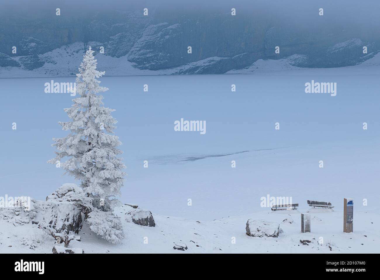 Paysage froid hivernal. Un seul pin recouvert de neige avec des bancs assis devant le lac gelé oeschinen, kandersteg Banque D'Images