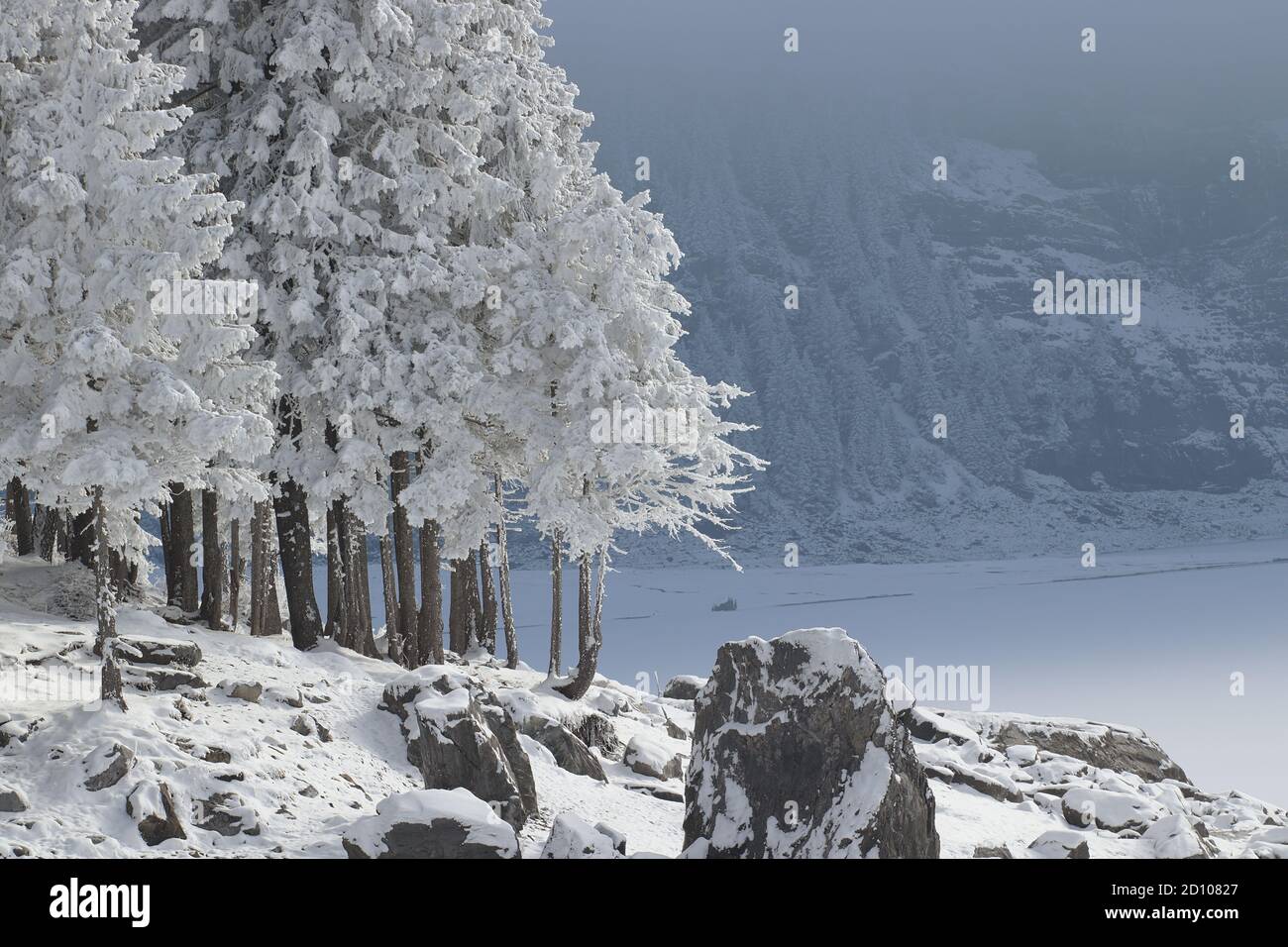 Paysage d'hiver recouvert de neige froide. Arbres enneigés devant l'oeschinen du lac gelé. Banque D'Images