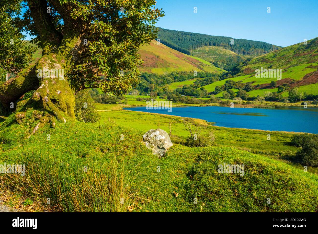 Lac Tal-y-Llyn, au milieu du pays de Galles Banque D'Images