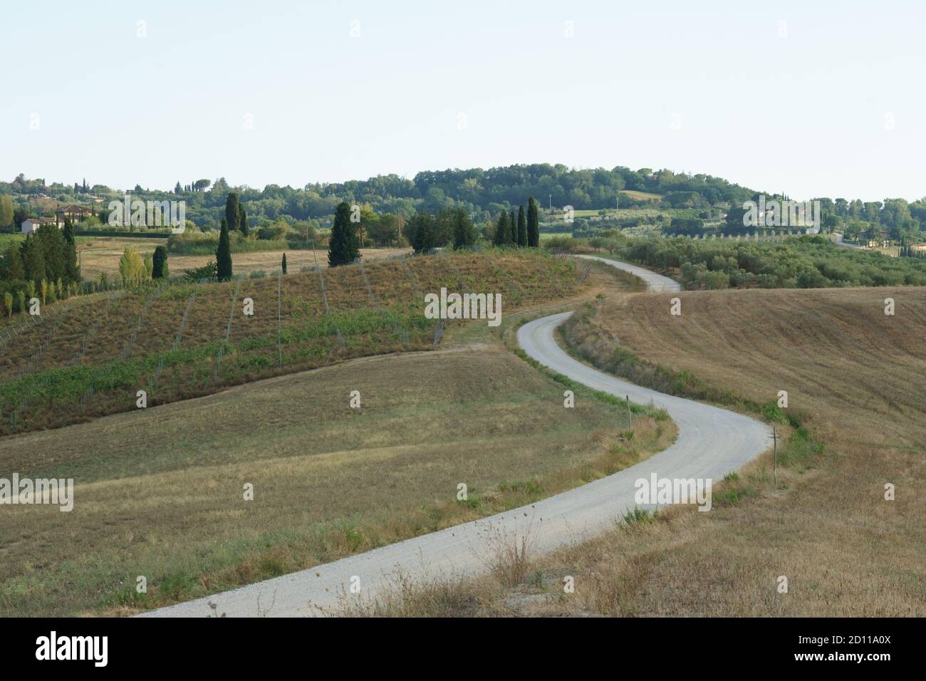 'Stada Bianca' à travers les collines entre Montepulciano et Monte Follonico. Banque D'Images