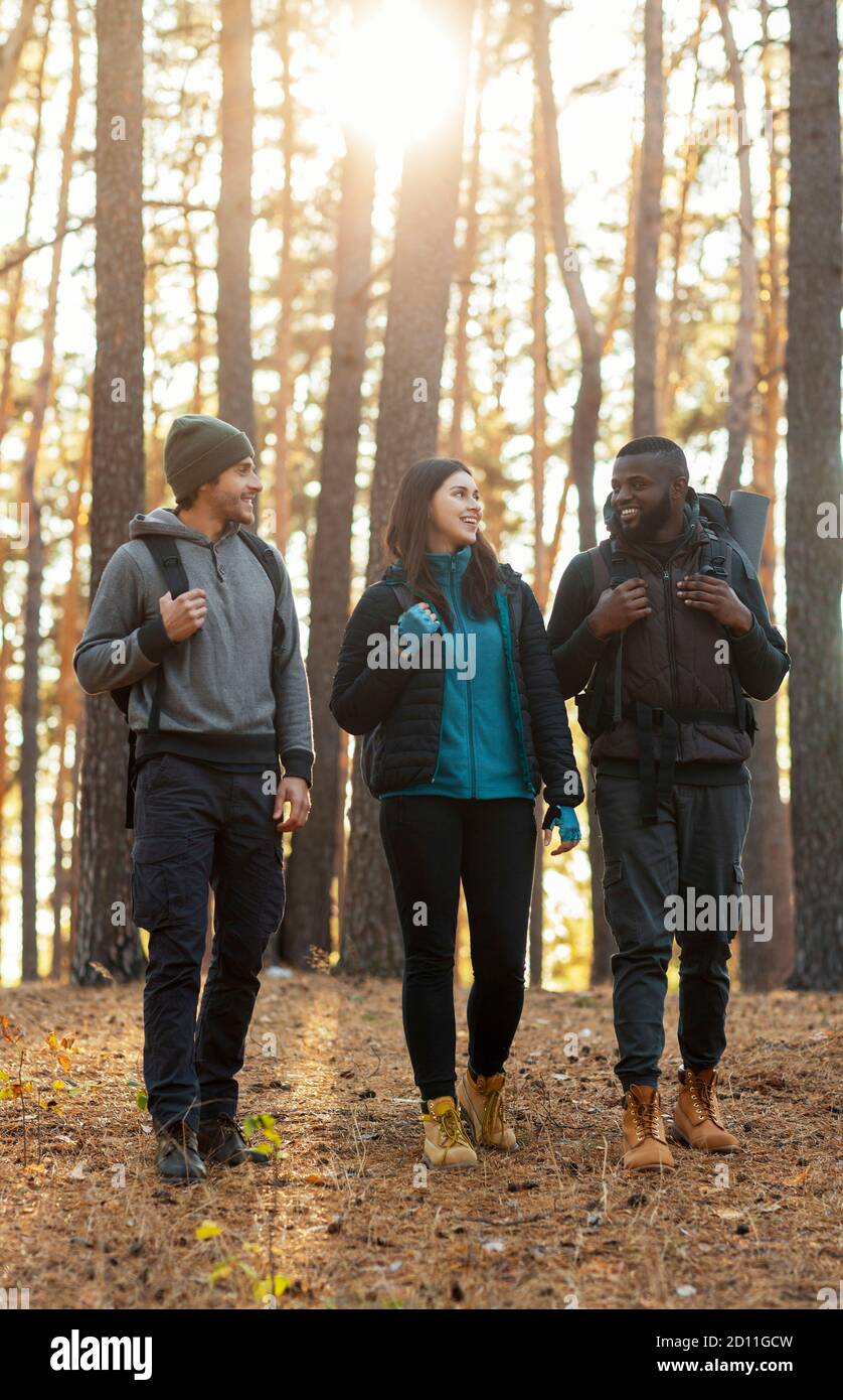 Groupe d'amis en randonnée à la campagne, ayant la conversation Banque D'Images