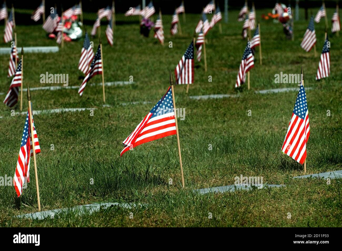 Beaucoup de petits drapeaux américains sur le souvenir de jour de mémorial à a cimetière des anciens combattants Banque D'Images